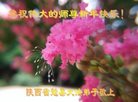 ֹ,󷨵ӹףʦ(27)
