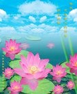 ֹ,֣ݴ󷨵ӹףʦ(21)