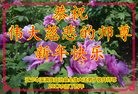 ֹ,Ϫ󷨵ӹףʦ(24)