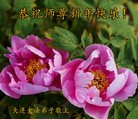 ֹ,󷨵ӹףʦ(27)