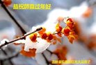 Published on 1/29/2017 ���ֹ�,���󷨵��ӹ�ףʦ�������(31��)