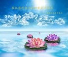 ֹ,ϴ󷨵ӹףʦ(30)