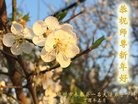 Published on 1/29/2017 ���ֹ�,�ӱ����������㶫�������ȵش󷨵��ӹ�ףʦ�������(42��)