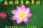 ֹ,ݴ󷨵ӹףʦ(29)