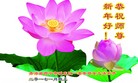 Published on 1/29/2017 ���ֹ�,�ຣ�����ġ�ɽ���ȵش󷨵��ӹ�ףʦ�������(33��)
