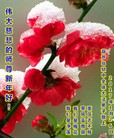 ֹ,«󷨵ӹףʦ(28)