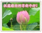 Published on 1/29/2017 ���ֹ�,���֡�ɽ���������������յȵش󷨵��ӹ�ףʦ�������(28��)
