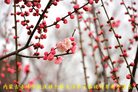 Published on 1/27/2017 ���ֹ�,��½�󷨵��ӹ�ףʦ�������(44��)