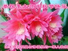 Published on 10/2/2017 ���ֹ�,�ô󷨸��������ڸж���ʦ��