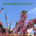 Published on 10/2/2017 ���ֹ�,��½���������顢���ϵ���Ӿ�ףʦ�������