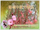 Published on 10/2/2017 ���ֹ�,���󷨵��ӹ�ףʦ�������(23��)