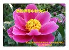 ֹ,󷨵ӹףʦ(20)