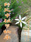 ֹ,󷨵ӹףʦ(21)