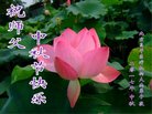 ֹ,󷨵ӹףʦ(23)