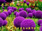 Published on 10/3/2017 ���ֹ�,��½�������ڹ�ףʦ�������(23��)