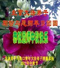 Published on 10/4/2017 ���ֹ�,��½��ԺУ���������������ȱ���ʦ���¾�
