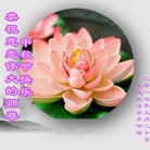 ֹ,󷨵ӹףʦ(22)