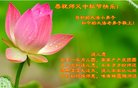 Published on 10/3/2017 ���ֹ�,С���ӹ�ףʦ�������(26��)