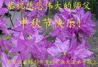 Published on 10/4/2017 ���ֹ�,��½�󷨵��ӹ�ףʦ�������(35��)