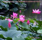 Published on 10/4/2017 ���ֹ�,��½�󷨵��ӹ�ףʦ�������(26��)
