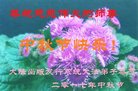 Published on 10/4/2017 ���ֹ�,��½�󷨵��ӹ�ףʦ�������(26��)