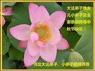 ֹ,żҿڴ󷨵ӹףʦ(21)