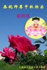 ֹ,󷨵ӹףʦ(21)