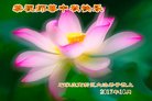 ֹ,ʯׯ󷨵ӹףʦ(25)