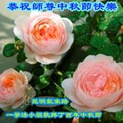 Published on 10/4/2017 ���ֹ�,��½�󷨵��ӹ�ףʦ�������(35��)