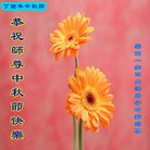 Published on 10/4/2017 ���ֹ�,��½�󷨵��ӹ�ףʦ�������(35��)