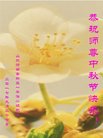 ֹ,ϴ󷨵ӹףʦ(24)