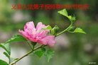 ֹ,ݴ󷨵ӹףʦ(24)