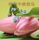 ֹ,󷨵ӹףʦ(31)