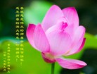 Published on 10/4/2017 ���ֹ�,��½��������˾�����������Ŵ󷨵��ӹ�ףʦ�������