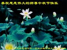 Published on 10/4/2017 ���ֹ�,��½�󷨵��ӹ�ףʦ�������(32��)