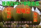 Published on 10/4/2017 ���ֹ�,��½�󷨵��ӹ�ףʦ�������(37��)