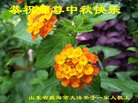 Published on 10/4/2017 ���ֹ�,��½�󷨵��ӹ�ףʦ�������(25��)