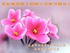Published on 10/4/2017 ���ֹ�,��½�󷨵��ӹ�ףʦ�������(37��)