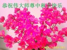 Published on 10/4/2017 ���ֹ�,��½�󷨵��ӹ�ףʦ�������(31��)