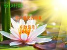 Published on 10/4/2017 ���ֹ�,��½�󷨵��ӹ�ףʦ�������(31��)