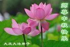 ֹ,󷨵ӹףʦ(23)