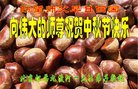Published on 10/4/2017 ���ֹ�,��½�󷨵��ӹ�ףʦ�������(25��)