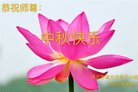 Published on 10/4/2017 ���ֹ�,��½�󷨵��ӹ�ףʦ�������(25��)