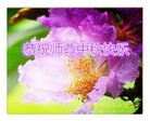 Published on 10/4/2017 ���ֹ�,��½�󷨵��ӹ�ףʦ�������(42��)