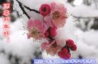 ֹ,ݴ󷨵ӹףʦ(22)