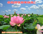 ֹ,ݴ󷨵ӹףʦ(22)