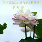 ֹ,ϴ󷨵ӹףʦ(21)