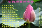ֹ,ݴ󷨵ӹףʦ(23)