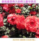 Published on 1/1/2018 ���ֹ�,��½�󷨵��ӹ�ףʦ�������(30��)