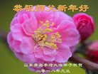 ֹ,ൺ󷨵ӹףʦ(25)